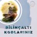Bilinçaltı Kodlarınız
